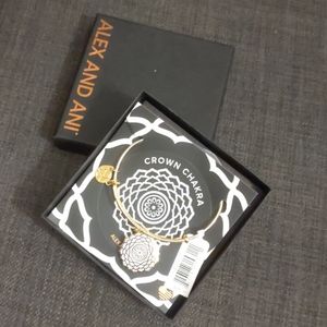 Alex and Ani Crown Chakra Bracelet